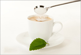 Manufacturers Exporters and Wholesale Suppliers of Spoonable Stevia Mumbai Maharashtra